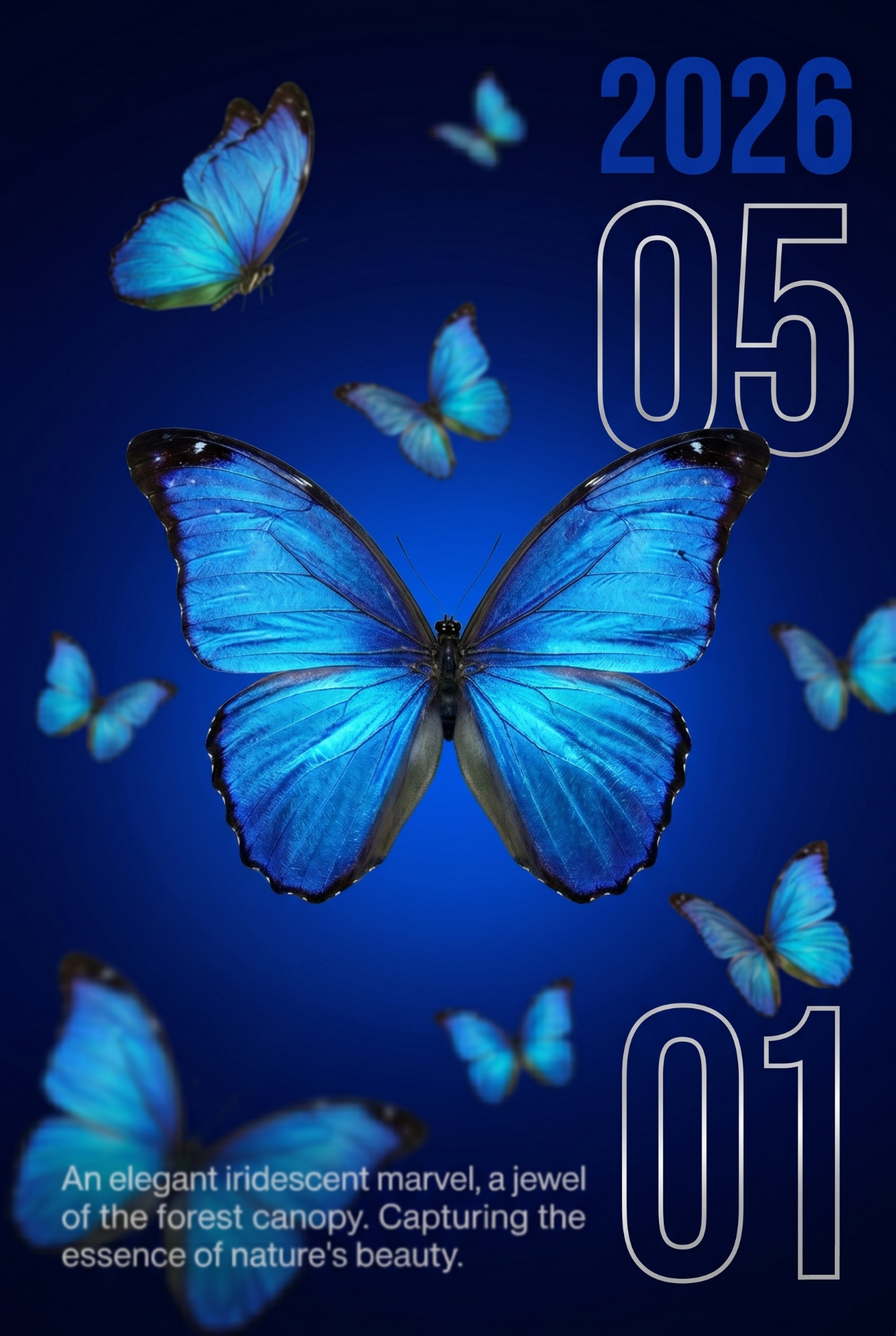Morpho poster 3